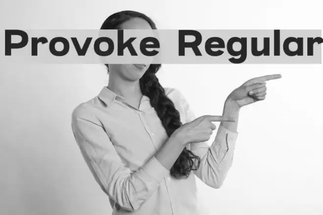 Provoke Regular Font examples