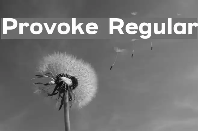 Provoke Regular Font examples