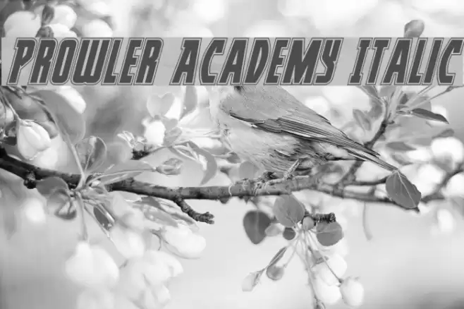 Prowler Academy Italic Font examples