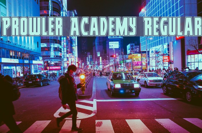 Prowler Academy Regular Example 2