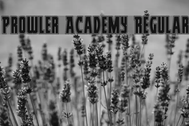 Prowler Academy Regular Font examples