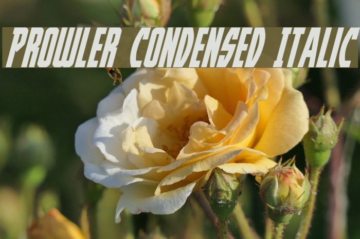 Prowler Condensed Italic Font examples
