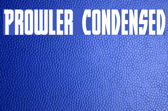 Prowler Condensed Example 1