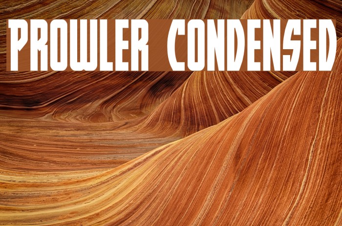 Prowler Condensed Example 2