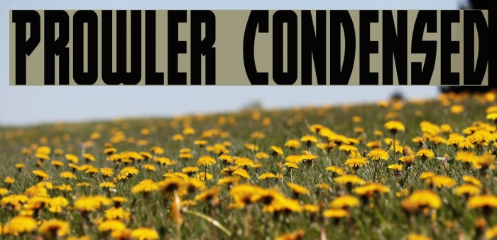 Prowler Condensed Example 3