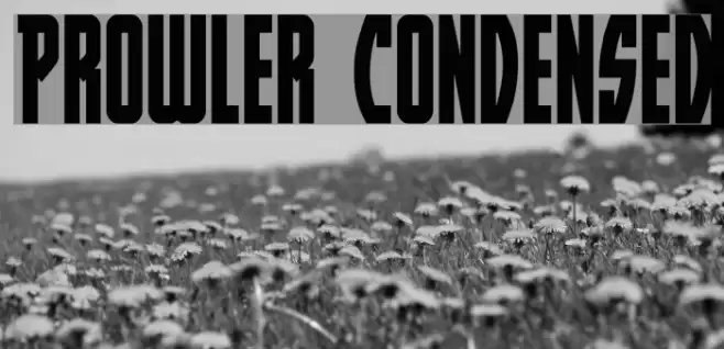 Prowler Condensed Font examples