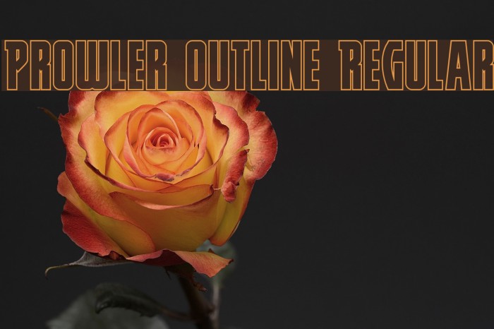 Prowler Outline Regular Example 1