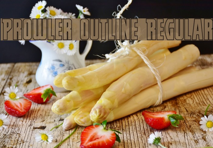 Prowler Outline Regular Example 2