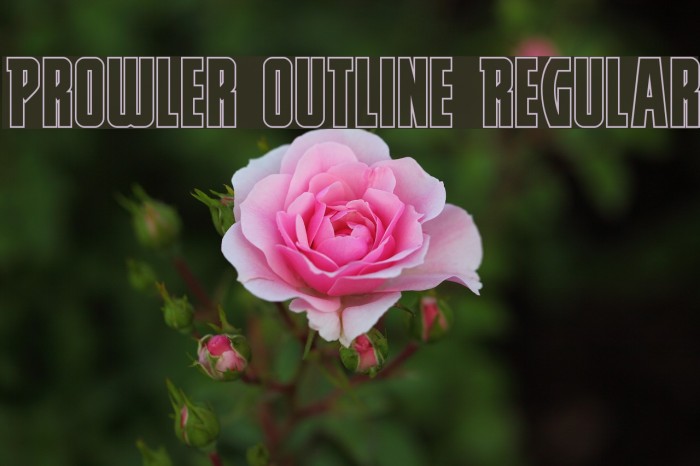 Prowler Outline Regular Example 3