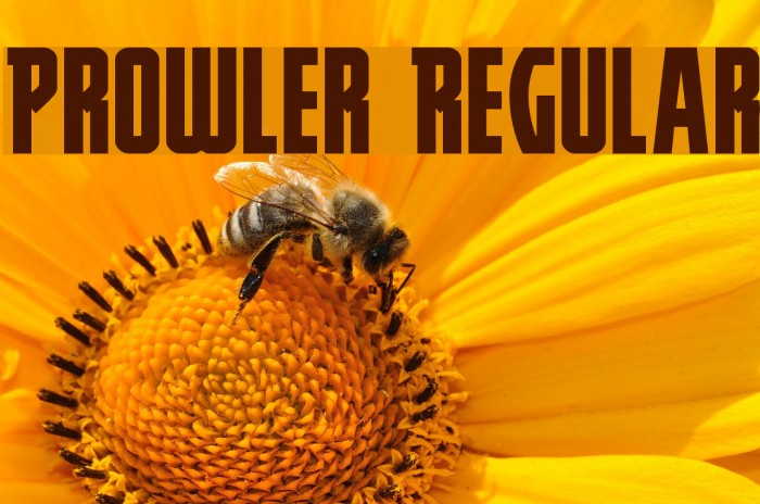 Prowler Regular Font examples