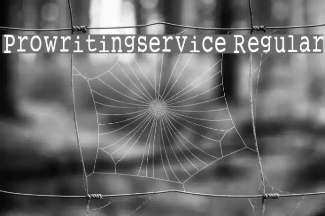 Prowritingservice Regular Font examples