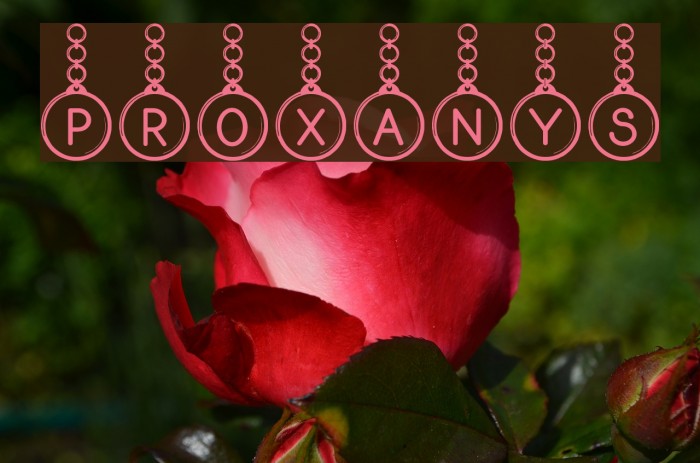 Proxanys Font examples