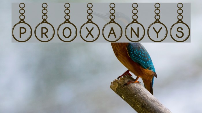 Proxanys Font examples