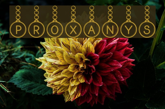Proxanys Font examples