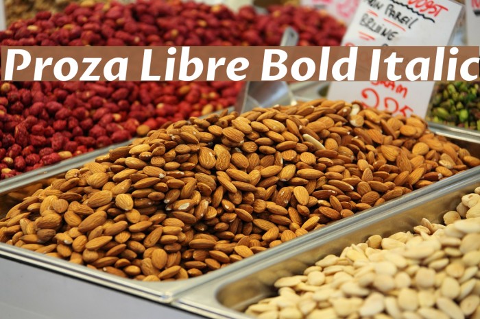Proza Libre Bold Italic Font examples