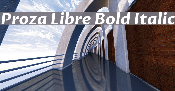 Proza Libre Bold Italic Font examples