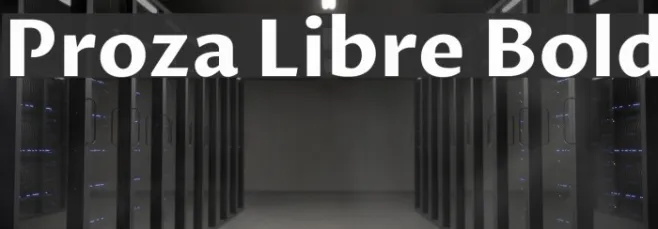 Proza Libre Bold Example 2