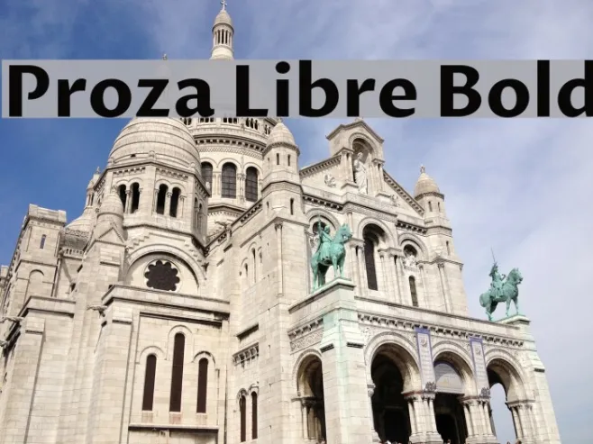 Proza Libre Bold Example 3