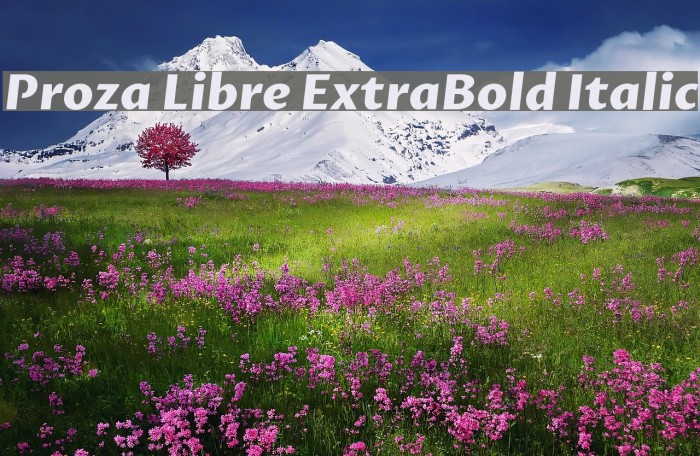 Proza Libre ExtraBold Italic Example 2