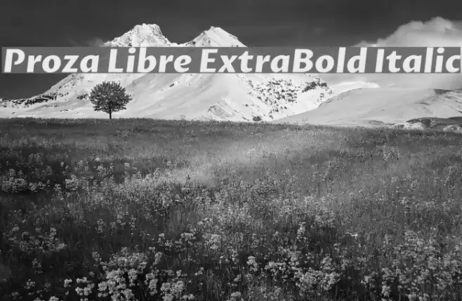 Proza Libre ExtraBold Italic Font examples