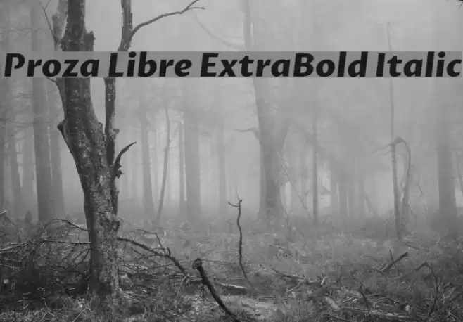 Proza Libre ExtraBold Italic Font examples