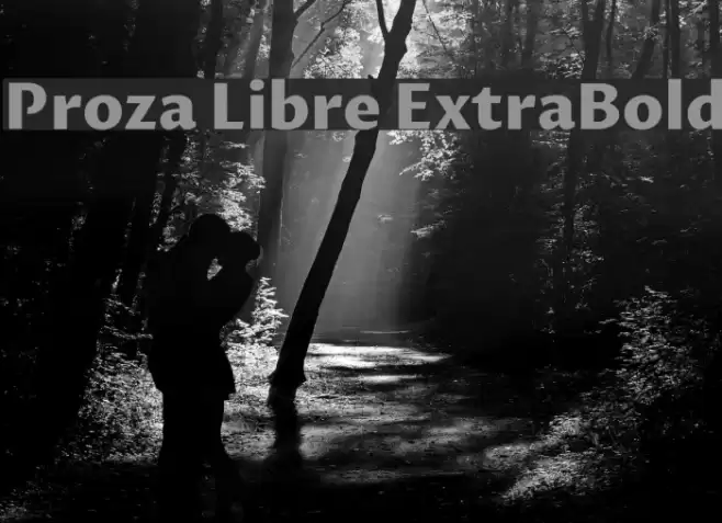 Proza Libre ExtraBold Font examples