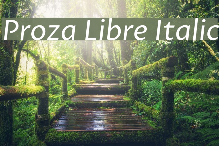 Proza Libre Italic Font examples