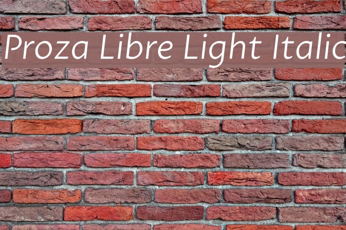 Proza Libre Light Italic Font examples