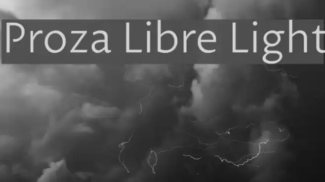 Proza Libre Light Font examples