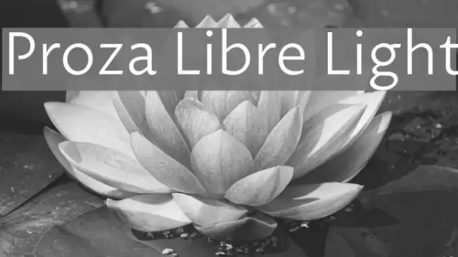 Proza Libre Light Font examples