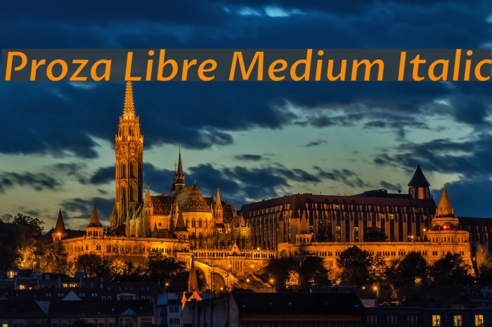 Proza Libre Medium Italic Example 1