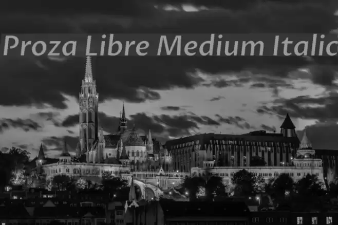 Proza Libre Medium Italic examples