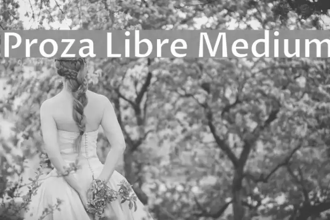Proza Libre Medium Font examples