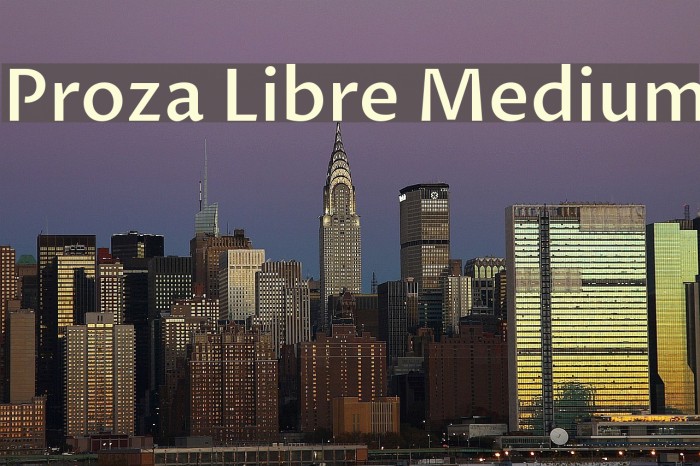 Proza Libre Medium Example 2