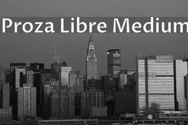 Proza Libre Medium Font examples