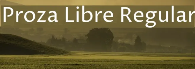Proza Libre Regular Example 2