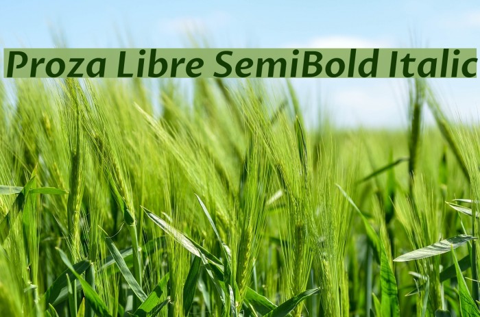 Proza Libre SemiBold Italic Font examples