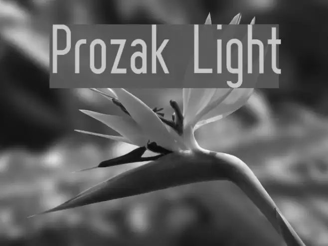 Prozak  Light Font examples