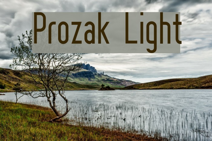 Prozak Light Font examples