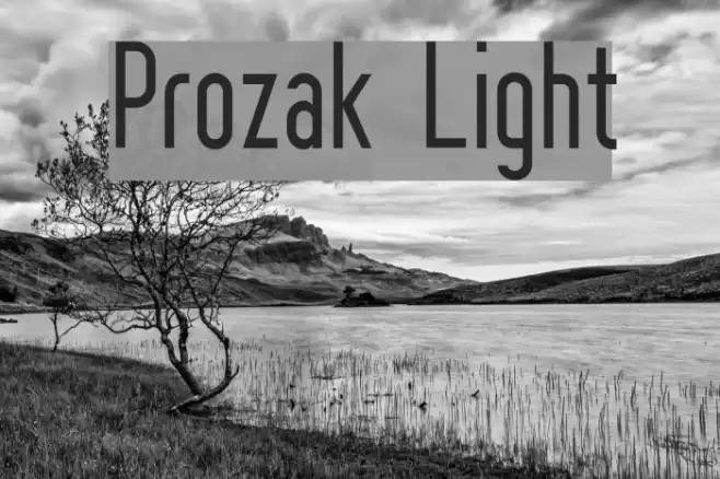 Prozak  Light Font examples