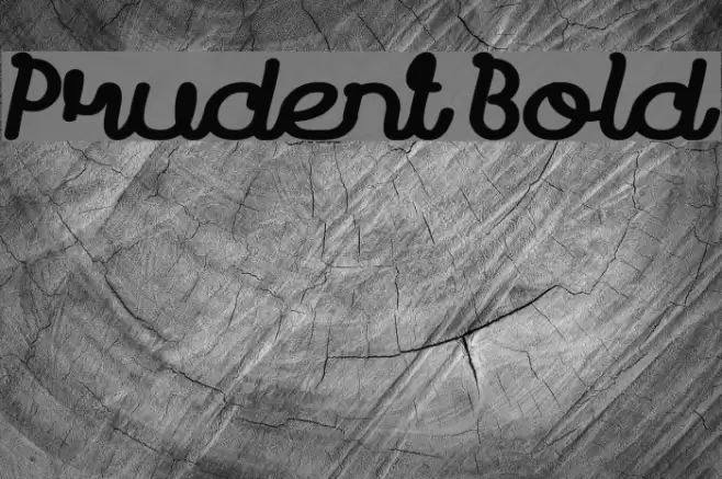 Prudent Bold Font examples