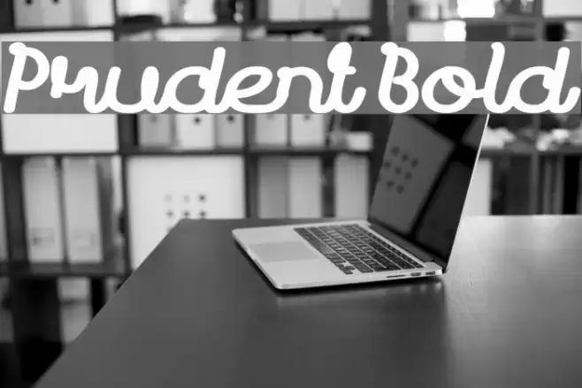 Prudent Bold Font examples