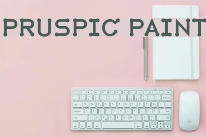 Pruspic Paint Example 1