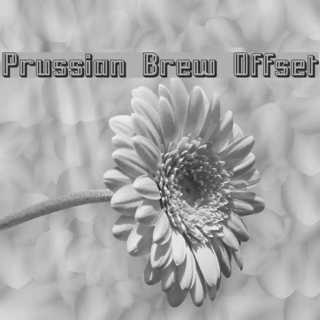 Prussian Brew Offset Fonte examples