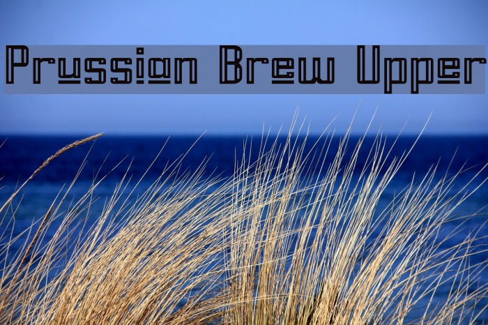 Prussian Brew Upper Font examples