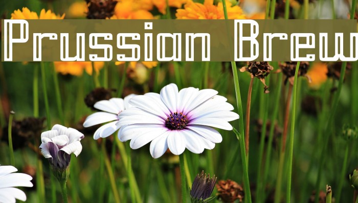 Prussian Brew Font examples