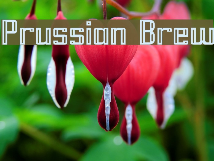 Prussian Brew Font examples