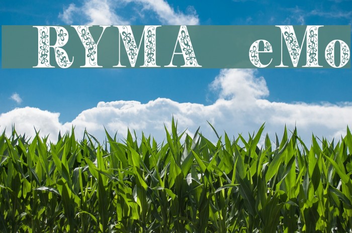 Pryma Demo Font examples