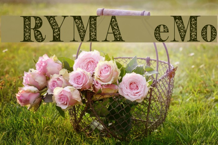 Pryma Demo Font examples