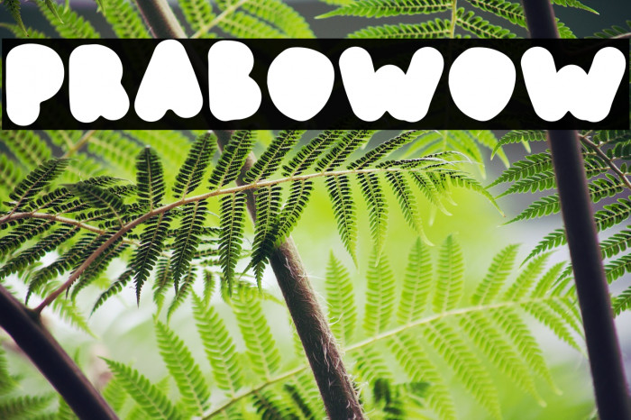 prabowow Fonte examples